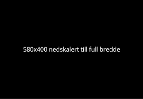 Annonser
